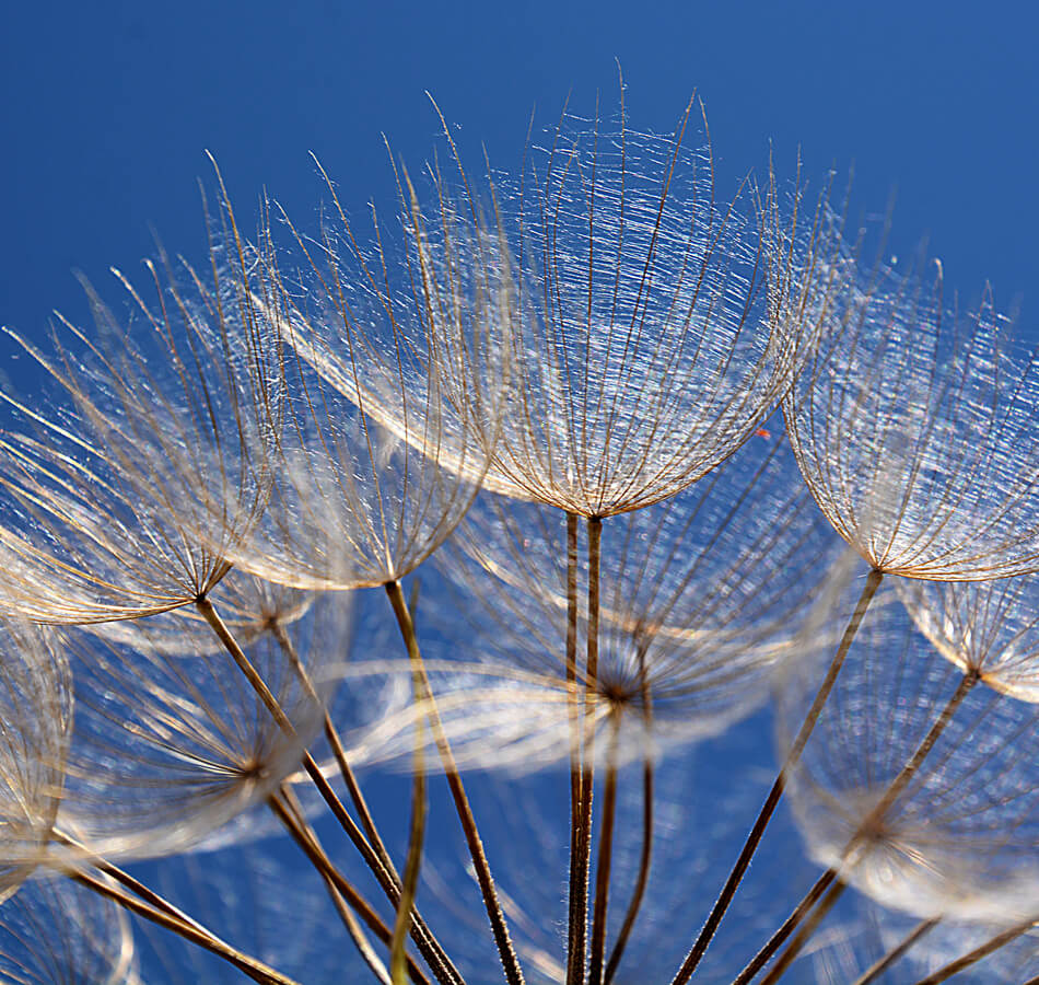 Κοινωνικό & Οικονομικό Αποτύπωμα 2024