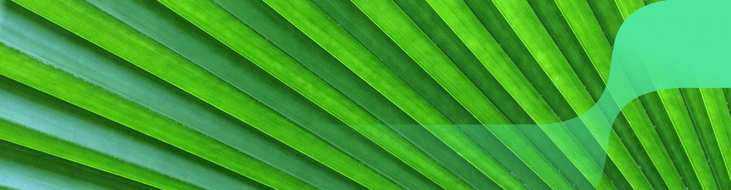 green leaf